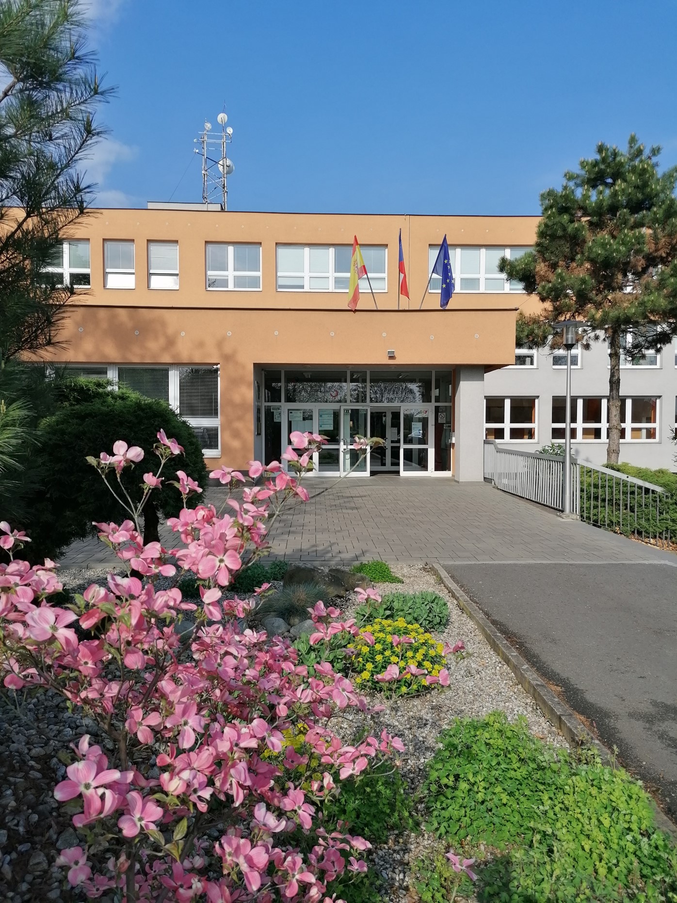 škola škola